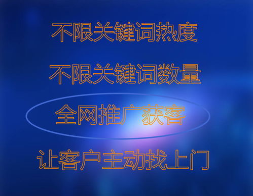 云盟螞蟻項目市場營銷策劃方案 創新驅動，精準觸達